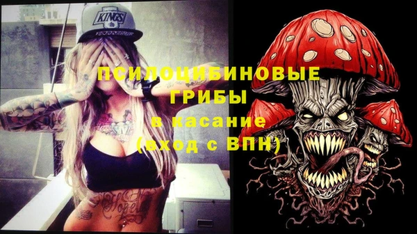 индика Вязьма