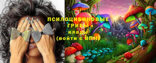 индика Вязьма