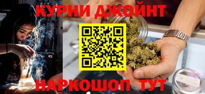 сатива Будённовск
