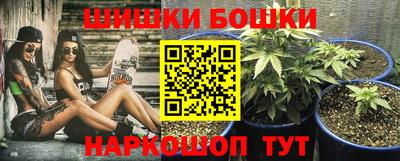 сатива Будённовск