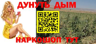 сатива Будённовск