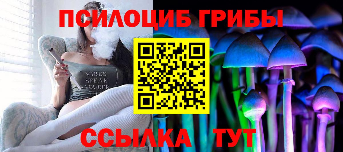 Галлюциногенные грибы GOLDEN TEACHER Дмитров