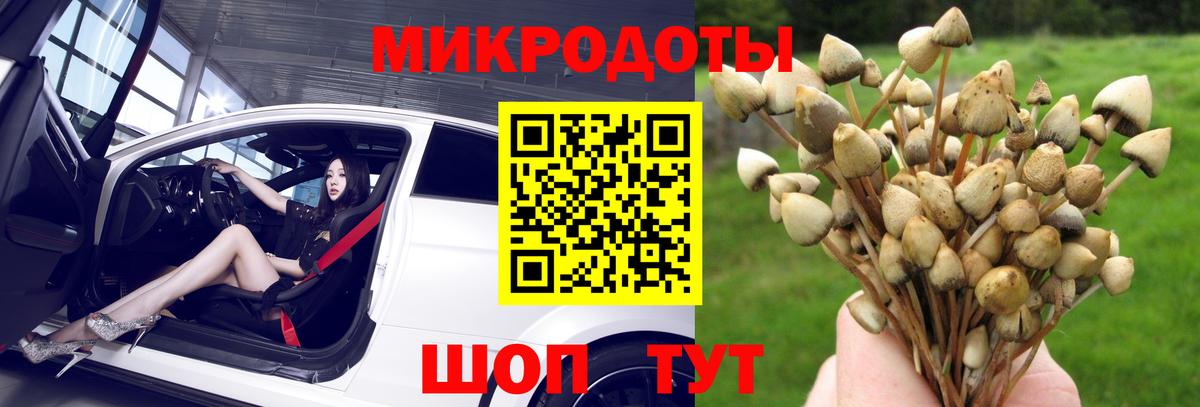 Галлюциногенные грибы GOLDEN TEACHER Дмитров